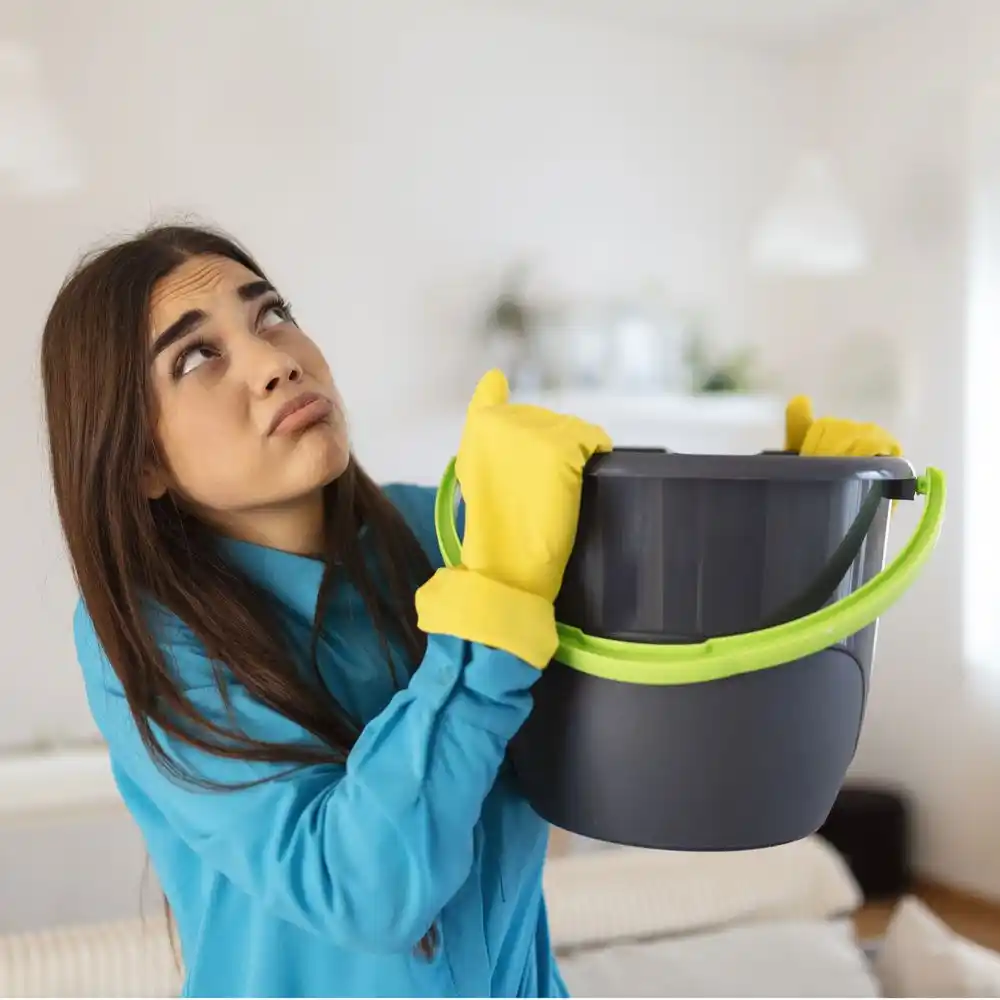 water damage restoration service Hoffman